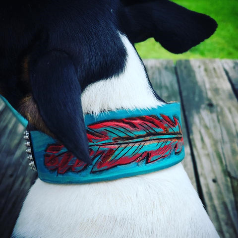 Tooled Feather Dog Collar