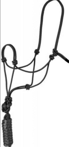 Rope Halter and lead